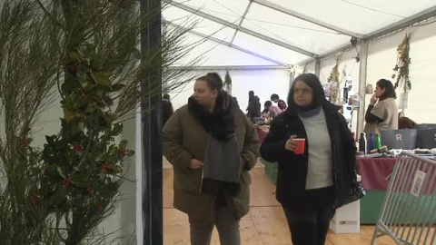 Los acebales sorianos se convierten en un reclamo turístico en Navidad Los acebales sorianos se convierten en un reclamo turístico en Navidad