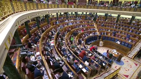 El Congreso da el visto bueno a la 'ley Trans' El Congreso da el visto bueno a la 'ley Trans'