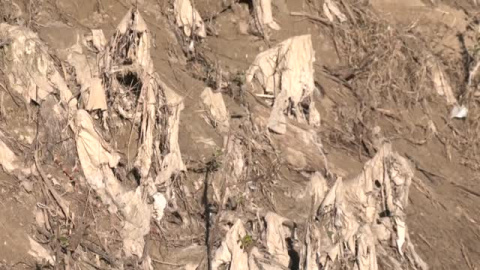 Isla de toallitas en el río Guadalquivir a su paso por Córdoba Isla de toallitas en el río Guadalquivir a su paso por Córdoba