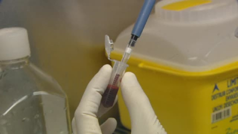 Un grupo de científicos descubre proteínas milenarias que podrían modificar el ADN Un grupo de científicos descubre proteínas milenarias que podrían modificar el ADN