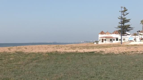 Insólita imagen de una playa de Huelva plagada de hierba Insólita imagen de una playa de Huelva plagada de hierba