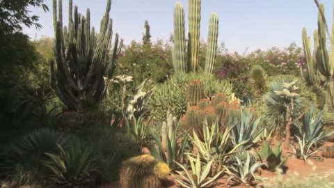 La naturaleza y el arte se fusionan en Marruecos La naturaleza y el arte se fusionan en Marruecos
