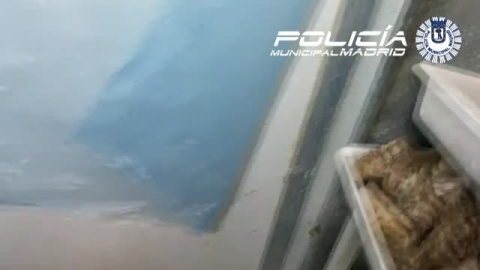 Media tonelada de carne podrida en Usera Media tonelada de carne podrida en Usera