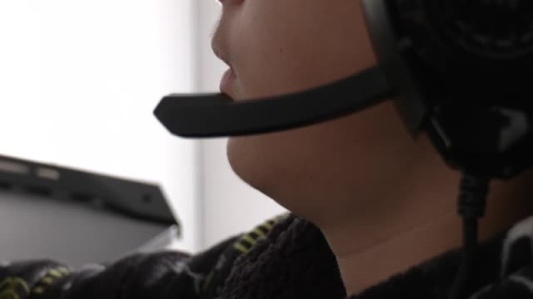 Videojuegos en la red: otro ardid para los abusadores de menores Videojuegos en la red: otro ardid para los abusadores de menores