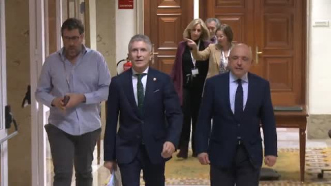 La sentencia que anula la destitución de Pérez de los Cobos: "Informar a Interior estaba expresamente prohibido" La sentencia que anula la destitución de Pérez de los Cobos: "Informar a Interior estaba expresamente prohibido"