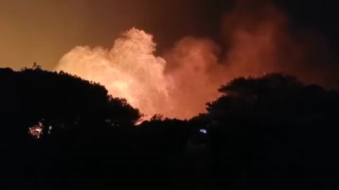 El incendio de Tarifa obliga a desalojar a 70 vecinos El incendio de Tarifa obliga a desalojar a 70 vecinos