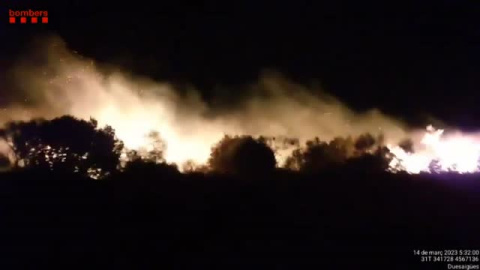 Incendio forestal entre las localidades de Selva del Camp y Vilaplana en Tarragona Incendio forestal entre las localidades de Selva del Camp y Vilaplana en Tarragona