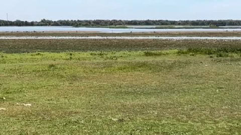 Ribera: "Afirmar que lo que está a 30 kilómetros de Doñana no es Doñana, es no entender cómo funciona un ecosistema" Ribera: "Afirmar que lo que está a 30 kilómetros de Doñana no es Doñana, es no entender cómo funciona un ecosistema"