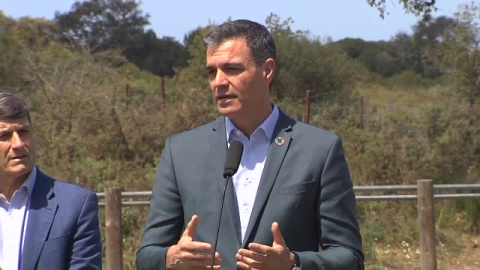 Sánchez pide a la Junta desde Doñana que "rectifique" y que vuelva "a la legalidad europea" Sánchez pide a la Junta desde Doñana que "rectifique" y que vuelva "a la legalidad europea"