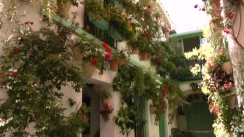 Lleno total en los coloridos patios de Córdoba a pesar del calor Lleno total en los coloridos patios de Córdoba a pesar del calor
