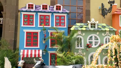 La localidad Gran Canaria de Gáldar se llena de flores La localidad Gran Canaria de Gáldar se llena de flores