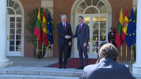 Sánchez recibe al presidente de Lituania, Gitanas Nauseda, en La Moncloa Sánchez recibe al presidente de Lituania, Gitanas Nauseda, en La Moncloa
