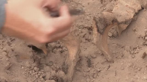 Encuentran una momia de 3.000 años en las afueras de Lima Encuentran una momia de 3.000 años en las afueras de Lima