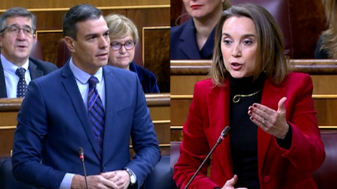 Sánchez, a los diputados del PP: "Les pido que no vayan más lejos, cumplan la Constitución" Sánchez, a los diputados del PP: "Les pido que no vayan más lejos, cumplan la Constitución"