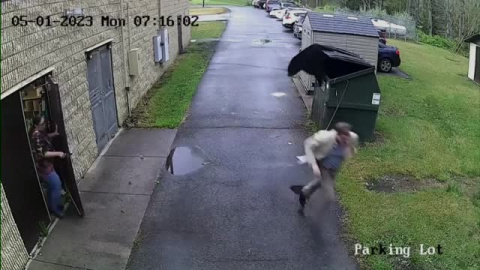 Se encuentra un oso en el contenedor cuando va a sacar la basura Se encuentra un oso en el contenedor cuando va a sacar la basura