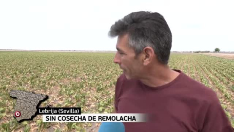 España pide agua a gritos España pide agua a gritos
