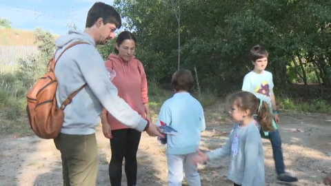 Día Internacional del Medio Ambiente Día Internacional del Medio Ambiente