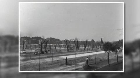 Los vecinos de Arganzuela en pie de guerra contra la tala masiva de árboles Los vecinos de Arganzuela en pie de guerra contra la tala masiva de árboles