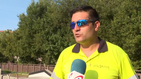 Los nidos de la avispa "velutina" aumentan este verano en Galicia Los nidos de la avispa "velutina" aumentan este verano en Galicia