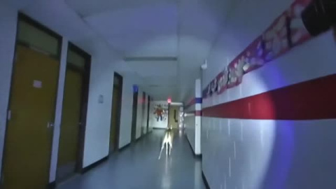 Un cervatillo se cuela en un colegio de EEUU en plena noche Un cervatillo se cuela en un colegio de EEUU en plena noche