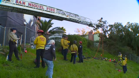 Angustioso rescate de un perro policía retirado en California Angustioso rescate de un perro policía retirado en California