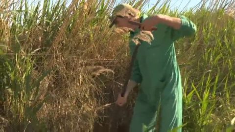 El Canal D´Urgell en Lleida echa el cierre 160 años después por la sequía El Canal D´Urgell en Lleida echa el cierre 160 años después por la sequía