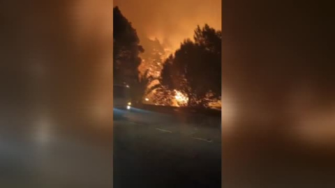 Más de 500 evacuados en el incendio forestal de la isla de la Palma Más de 500 evacuados en el incendio forestal de la isla de la Palma