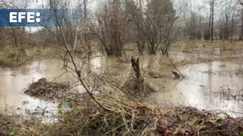 La tormenta Henk deja un muerto en Inglaterra La tormenta Henk deja un muerto en Inglaterra