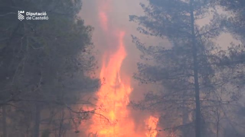El fuego entre Castellón y Teruel sigue fuera de control El fuego entre Castellón y Teruel sigue fuera de control