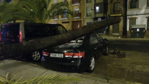 La borrasca Bernard deja un muerto y numerosos destrozos en Andalucía La borrasca Bernard deja un muerto y numerosos destrozos en Andalucía