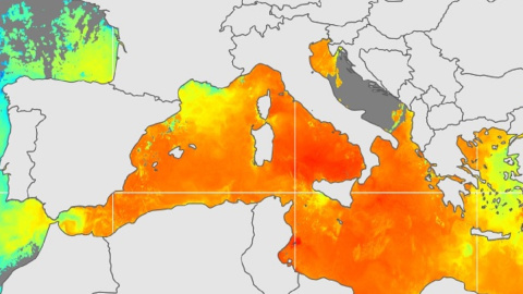 Mapa de calor que muestra las temperaturas adversas en el mar mediterráneo.