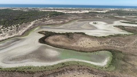 La laguna de Santa Olalla, en Doñana, en una imagen tomada en agosto de 2022. — ESTACIÓN BIOLÓGICA DE DOÑANA / CSIC / REUTERS