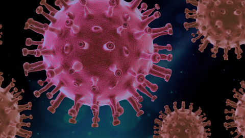 Imagen de un virus