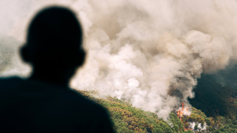 Un hombre observa la columna de humo junto a la urbanización El Picadero, de Pedro Bernardo.