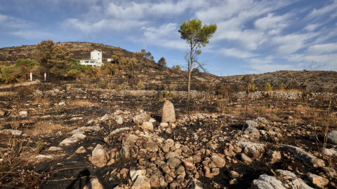 El incendio forestal de la Vall d'Ebo, en el interior norte de la provincia de Alicante, se encuentra estable.