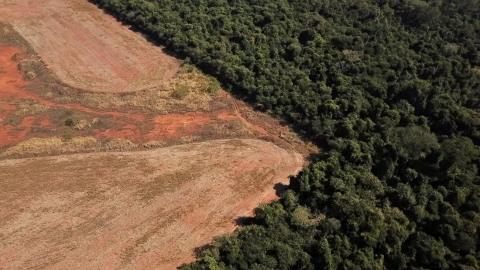 vista aérea que muestra la deforestación cerca de un bosque en la frontera entre la Amazonia y Cerrado en Nova Xavantina, estado de Mato Grosso, Brasil, 28 de julio de 2021.