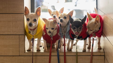 Tierbedarf-Plus Timo Fried unter Laupheim, 