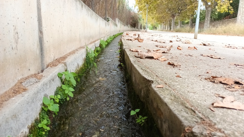 03/11/2022 - La riera de Canyet, a Badalona.