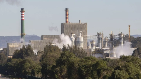 Vista de la fábrica de Ence en Pontevedra a 07 de febrero de 2023