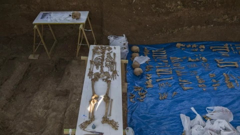 Trabajos de exhumación de la fosa común de Pico Reja, una de las mayores fosas del franquismo, ubicada en el cementerio de San Fernando.