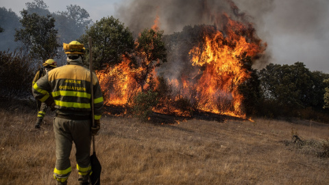 Varios bomberos trabajan en la extinción del fuego del incendio de Pumarejo de Tera, Zamora, durante el verano de 2022.