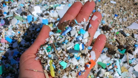 Un puñado de microplásticos en la playa de Kamilo, Hawai (EE UU)