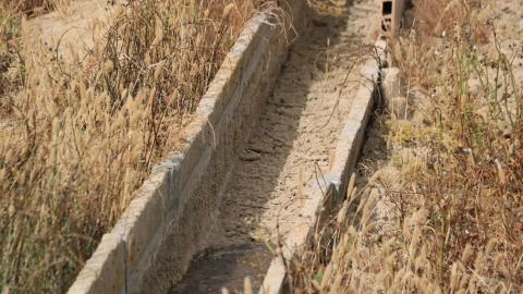 28/04/2023 - Detall d'una sèquia d'un arrossar del Delta de l'Ebre.