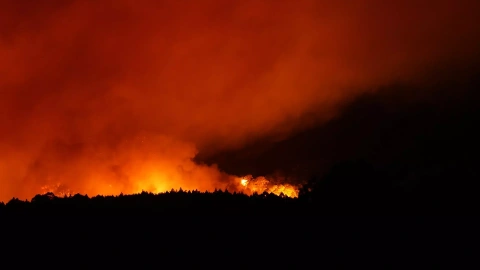 Llamas en las inmediaciones del municipio de Afaro, a 17 de agosto de 2023, en Afaro, Tenerife, Canarias.