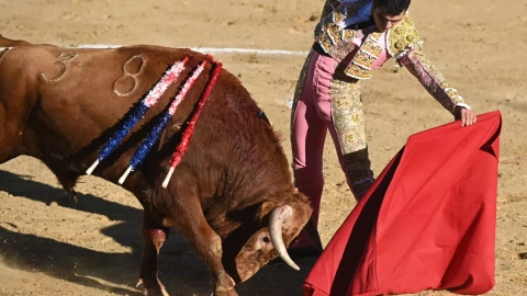 El novillero Manuel Martín este sábado durante la novillada con picadores de Sahagún (León).