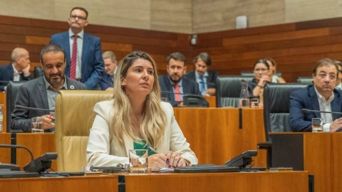 La exconsejera de Gestión Forestal y Mundo Rural de la Junta de Extremadura, Camino Limia, en una sesión.