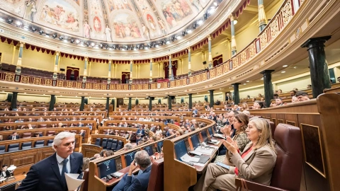 Vista general durante un pleno en el Congreso de los Diputados, a 19 de diciembre de 2023, en Madrid (España).