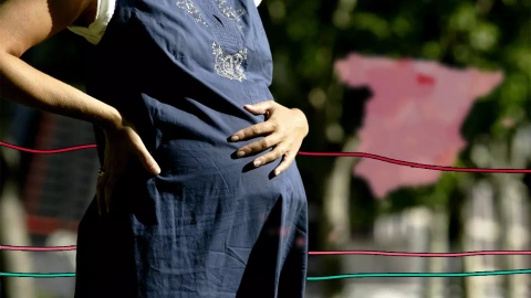 Montaje con una imagen de una mujer embarazada y los datos recogidos por 'Público'.