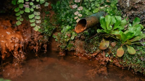 La Font del Sot, a Dosrius, amb poca aigua