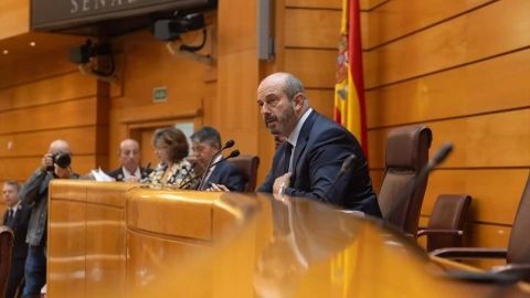 El presidente del Senado, Pedro Rollán (PP).